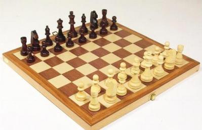 Как научить ребенка играть в шахматы с нуля
