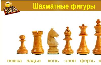 Краткие правила игры в шахматы Что значит играть в шахматы